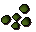 Irit seed